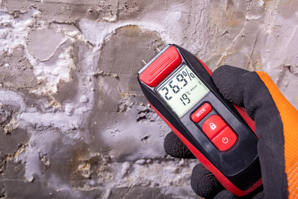 Office Mold Removal Services in Helena, MT